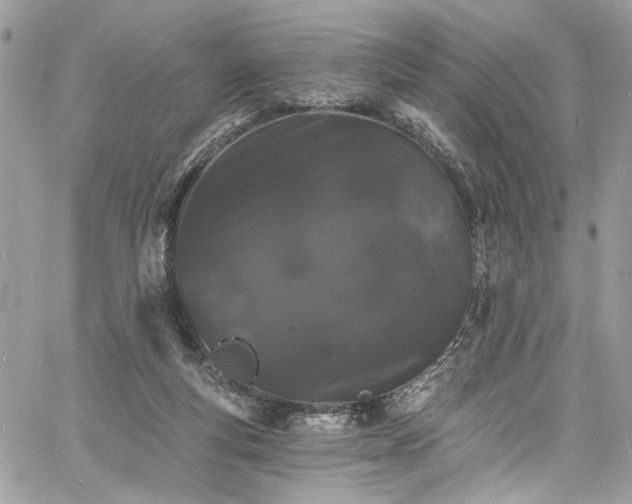 X0000060790163200511171317