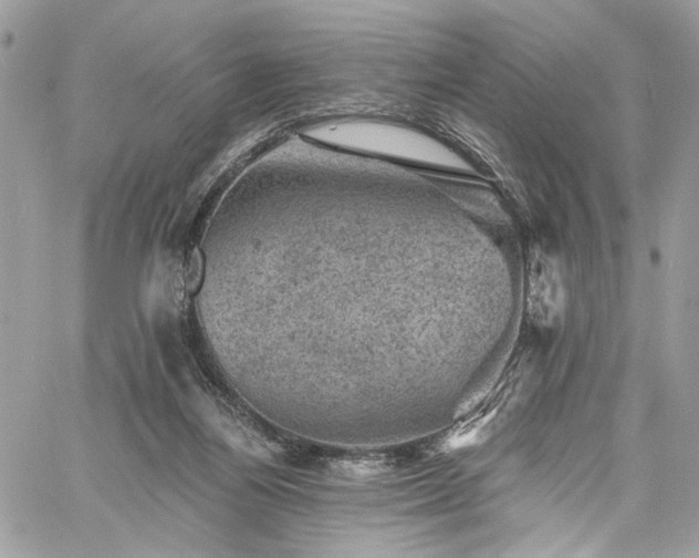 X0000060790164200511171317