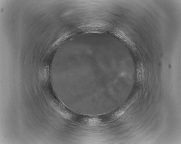 X0000060790165200511171317