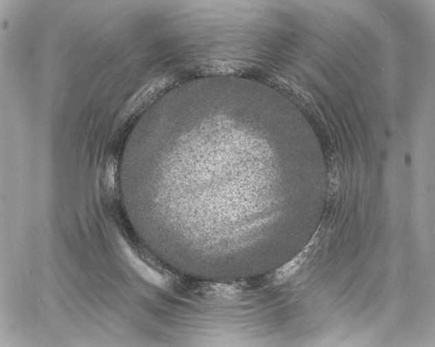 X0000060790166200511171317