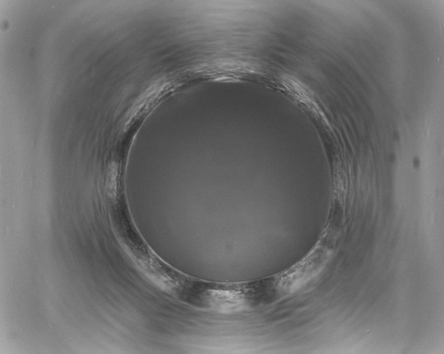 X0000060790167200511171317