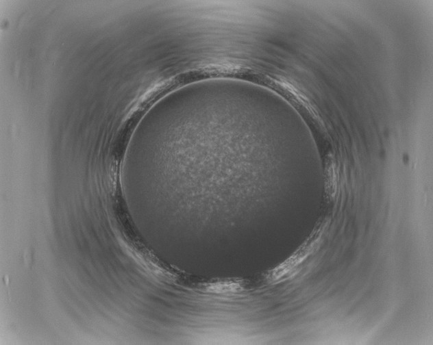 X0000060790168200511171317