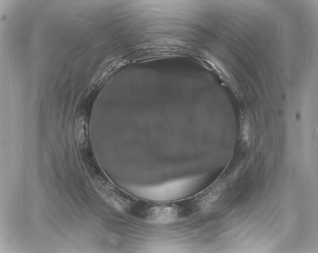 X0000060790169200511171317