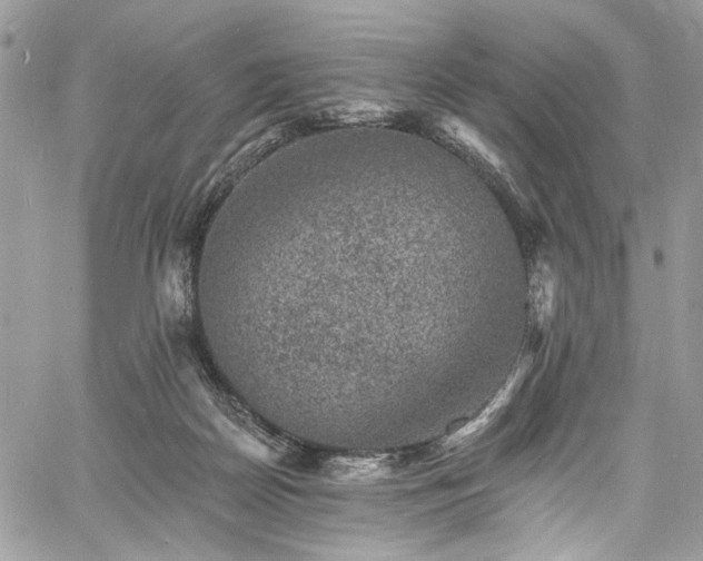 X0000060790170200511171317