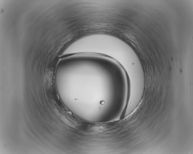 X0000060790171200511171317