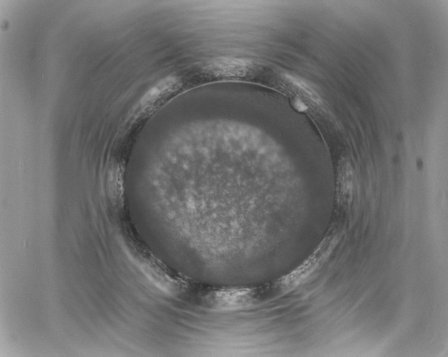 X0000060790172200511171317