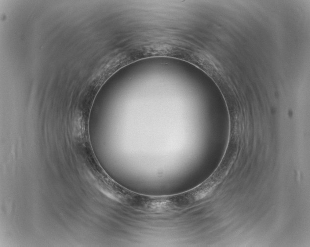 X0000060790173200511171317