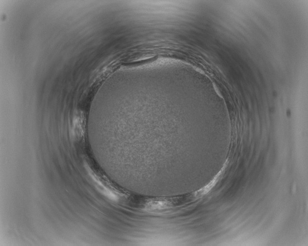 X0000060790174200511171317