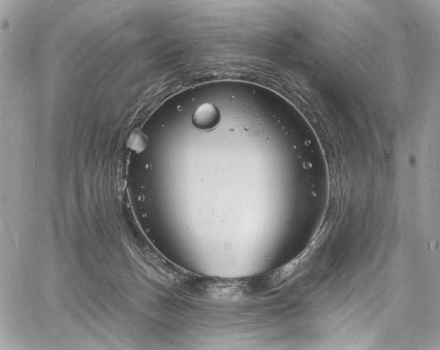 X0000060790175200511171317