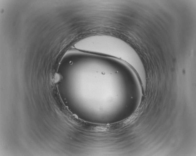 X0000060790176200511171317