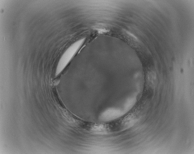 X0000060790177200511171317