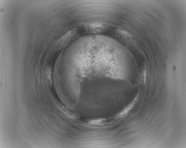 X0000060790178200511171317