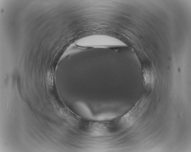 X0000060790180200511171317