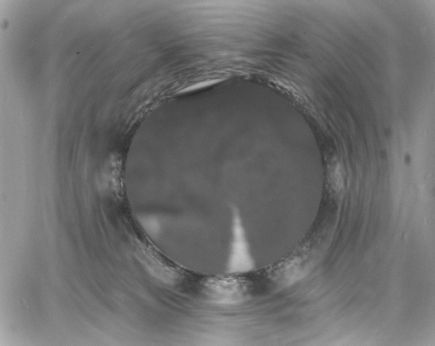 X0000060790181200511171317