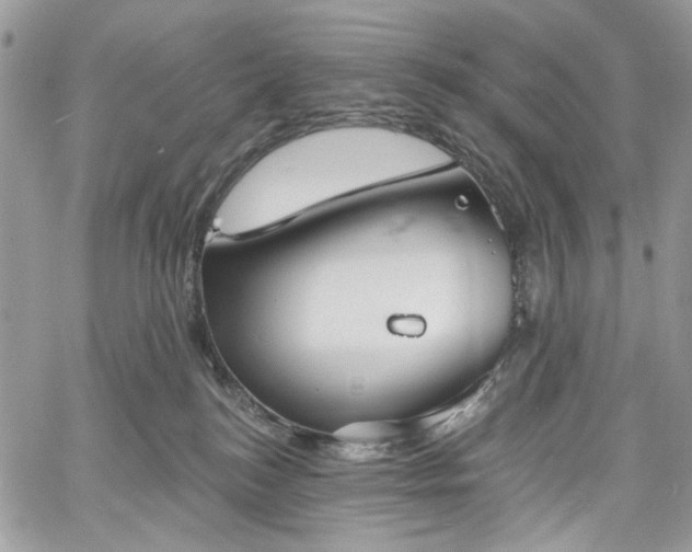 X0000060790184200511171317