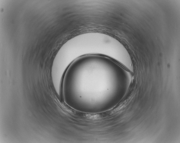 X0000060790185200511171317