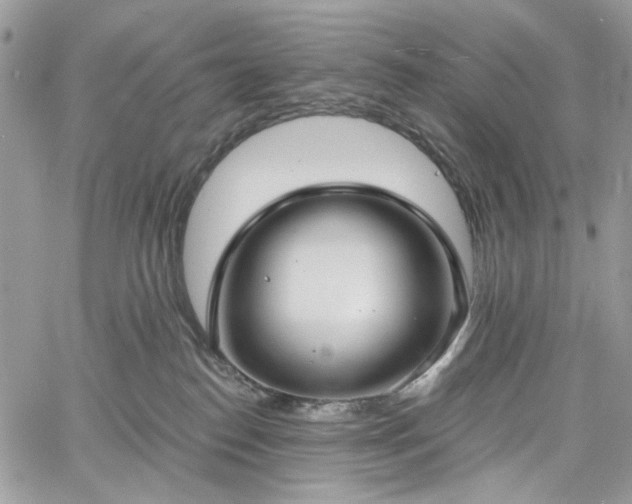 X0000060790186200511171317