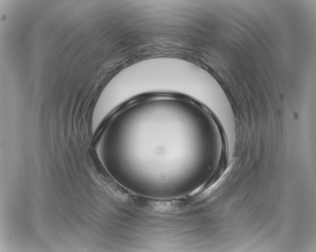 X0000060790187200511171317