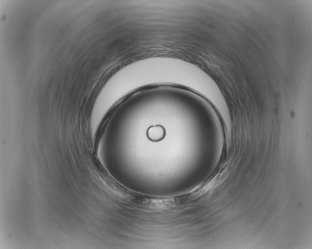 X0000060790188200511171317