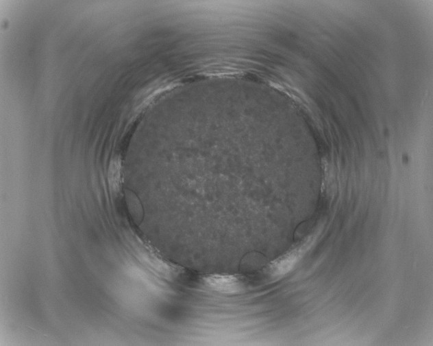 X0000060790189200511171317