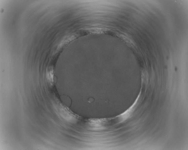 X0000060790190200511171317