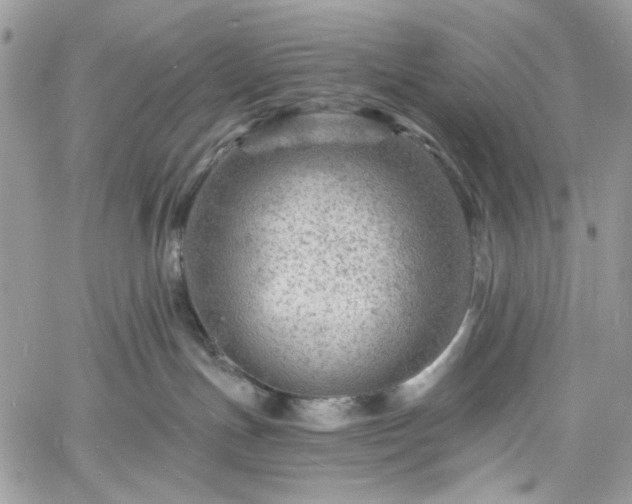 X0000060790191200511171317