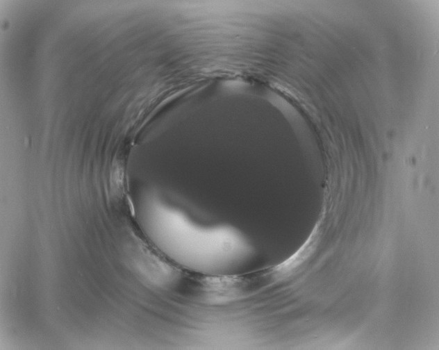 X0000060790192200511171318