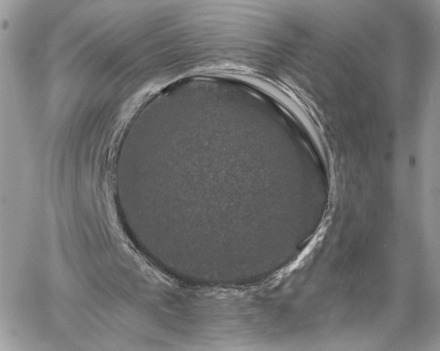 X0000060790193200511171317