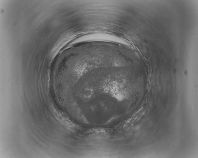 X0000060790194200511171317