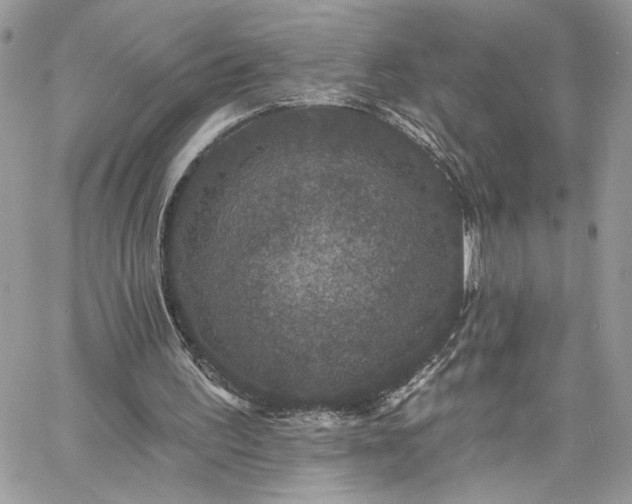 X0000060790195200511171317