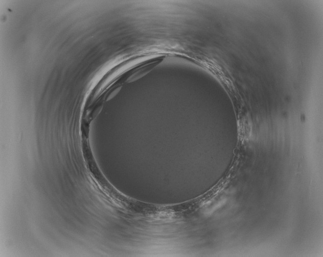 X0000060790196200511171317