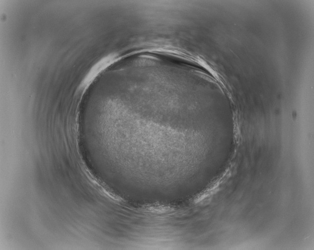 X0000060790199200511171317