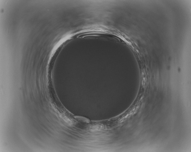 X0000060790200200511171317