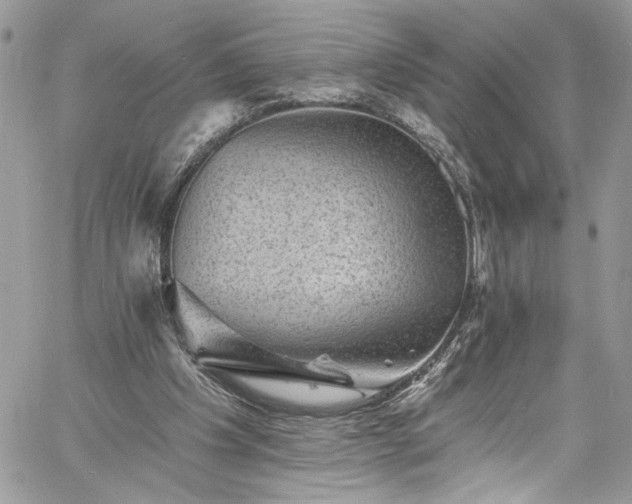 X0000060790201200511171317