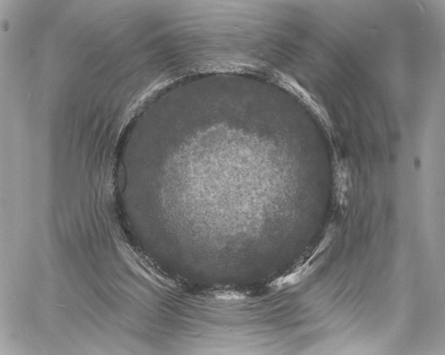 X0000060790203200511171317