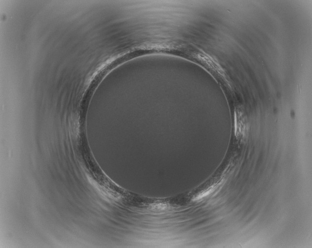 X0000060790204200511171317