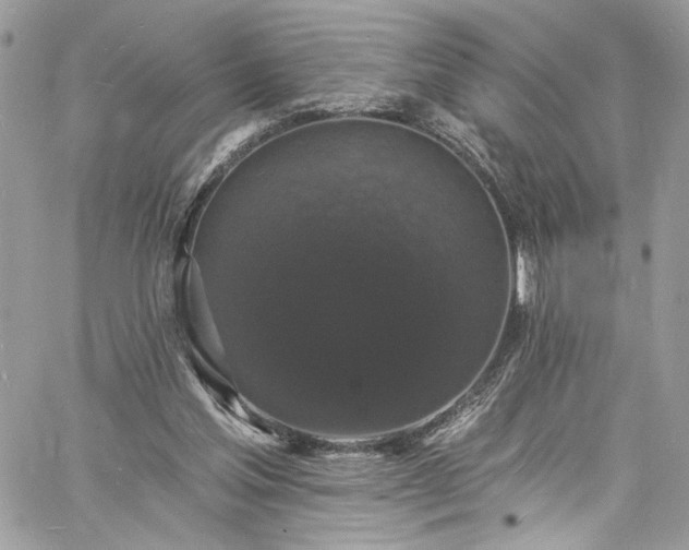 X0000060790205200511171317