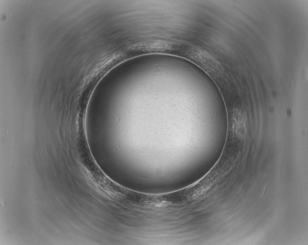 X0000060790206200511171317