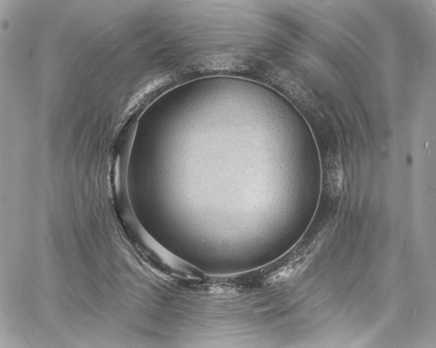 X0000060790207200511171316