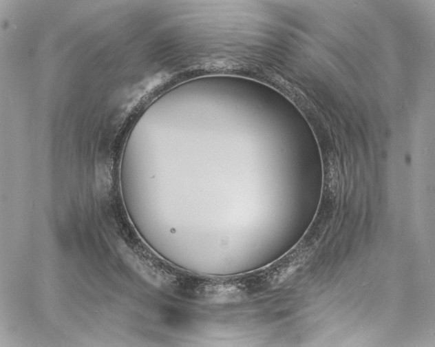 X0000060790208200511171316