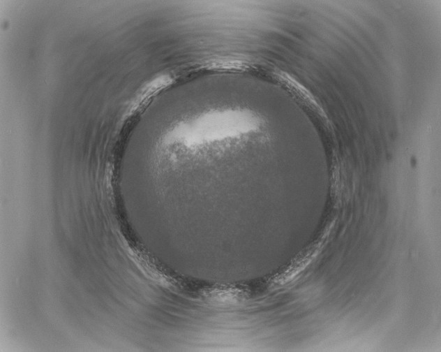 X0000060790209200511171316