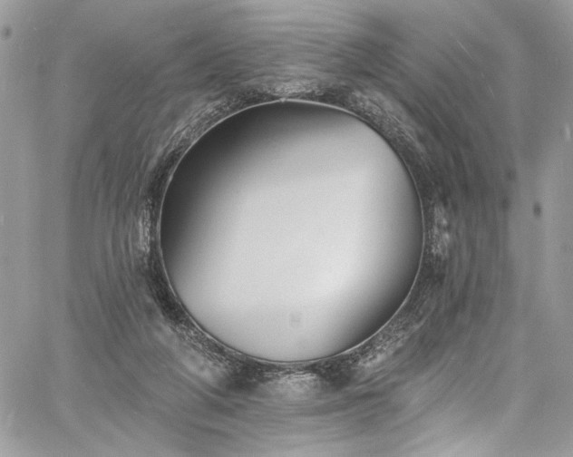 X0000060790210200511171316