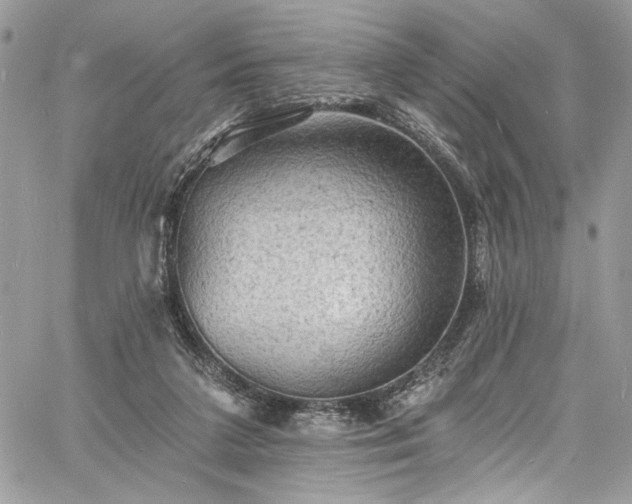 X0000060790211200511171316