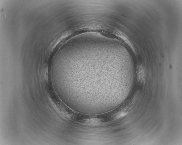 X0000060790212200511171316