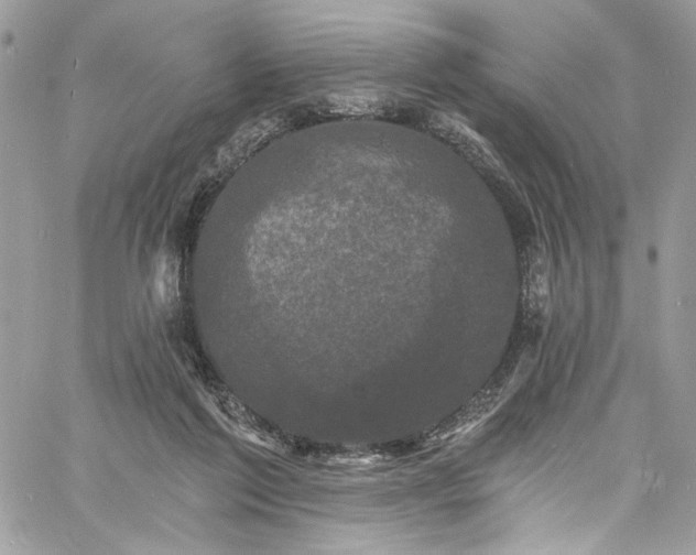 X0000060790213200511171316