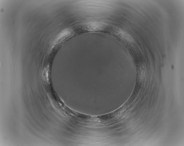 X0000060790214200511171316