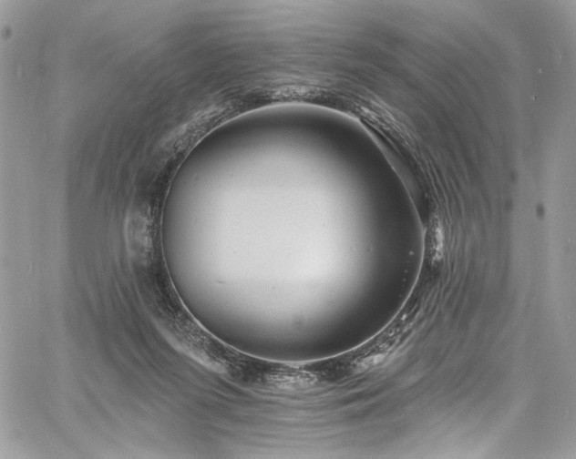 X0000060790215200511171316