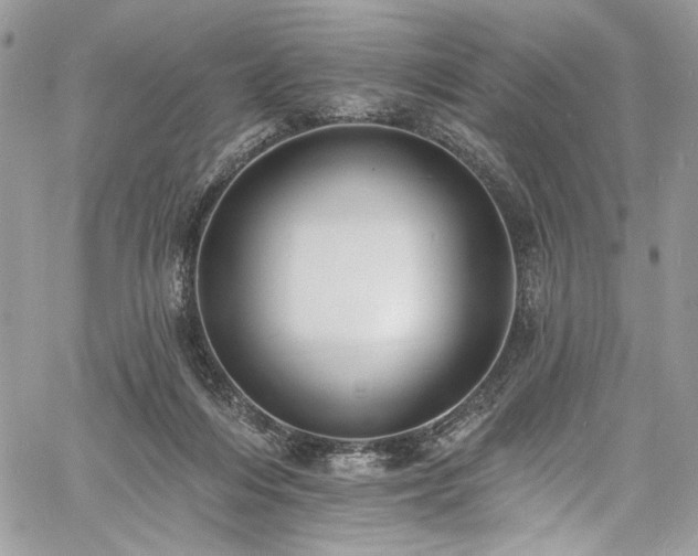 X0000060790216200511171316