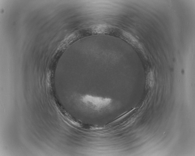 X0000060790217200511171316