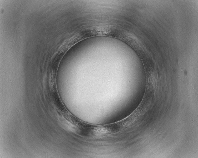 X0000060790218200511171316